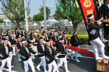 岸和田藤井町のだんじり